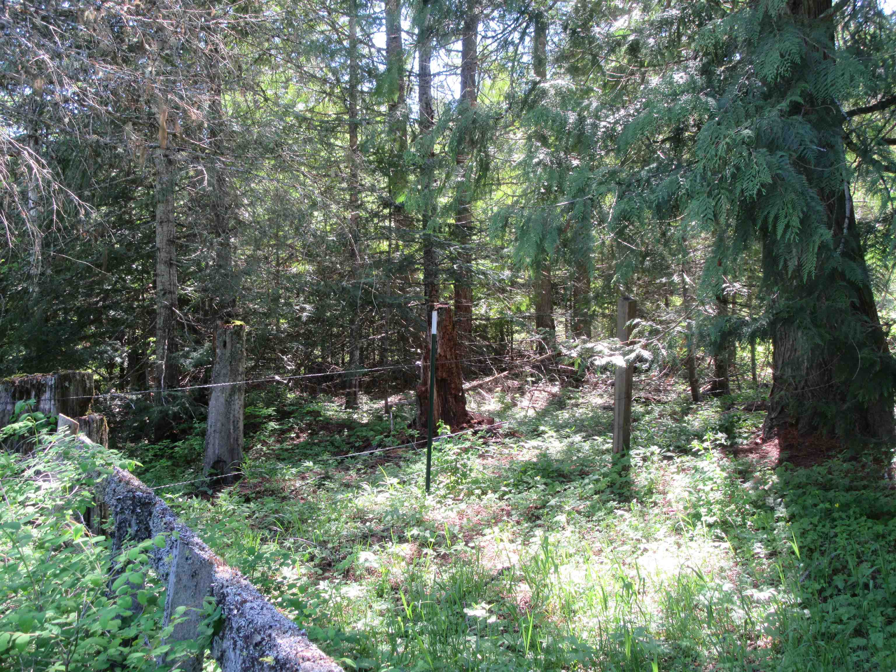 872 Clark Road Newport, WA 99156 - Photo 10 of 33 Gallery Image 10
