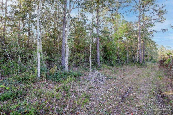 $200,000 | Upland Drive, Cantonment, FL 32533