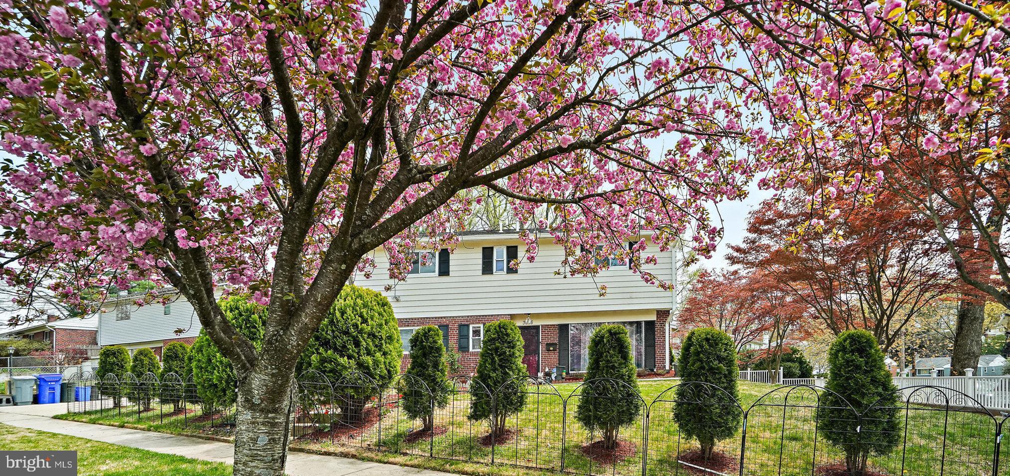 3816 Kayson Street Silver Spring, MD 20906 - Photo 4 of 44 a front view of a house with a tree
