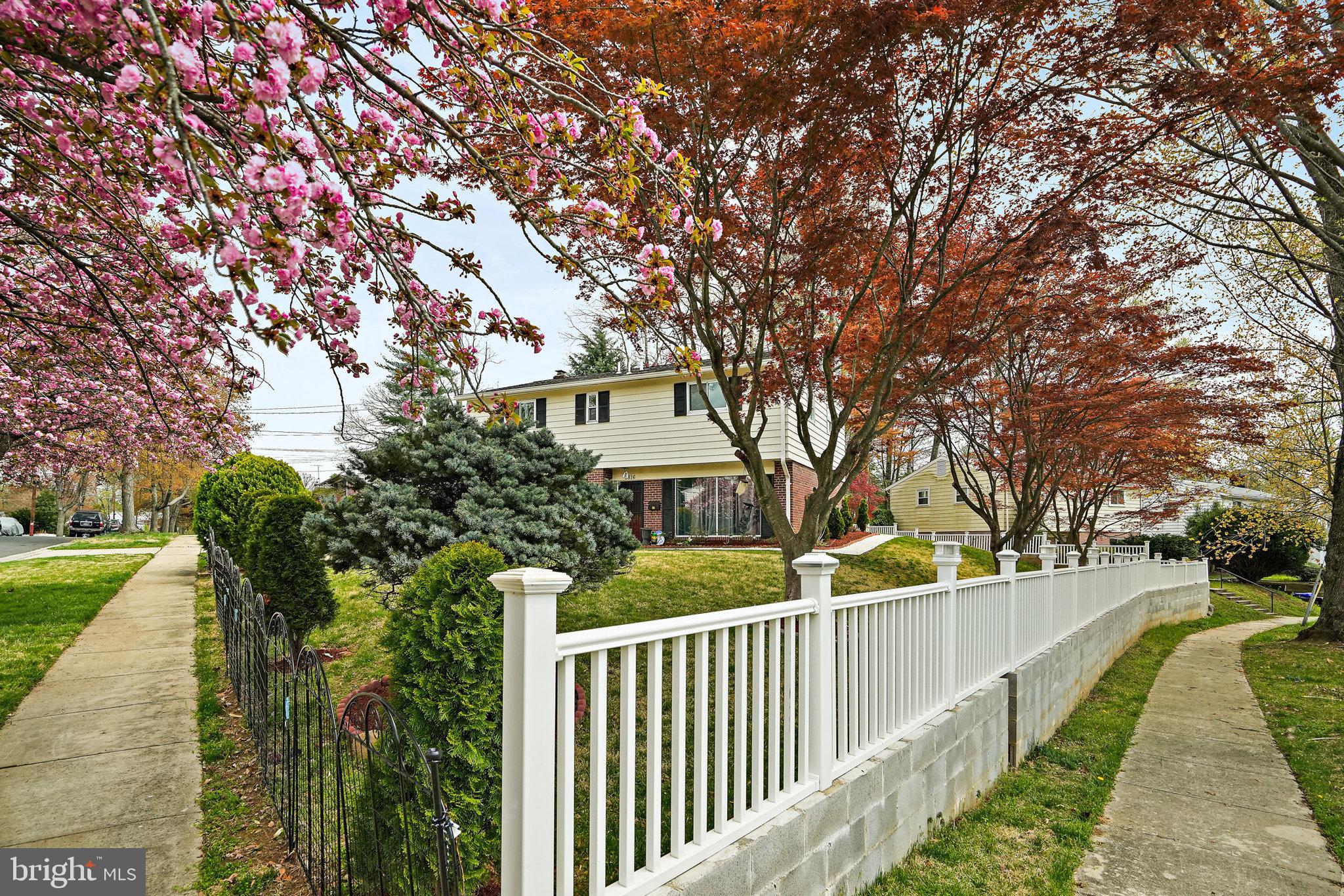 3816 Kayson Street Silver Spring, MD 20906 - Photo 44 of 44 a view of a house with a large tree
