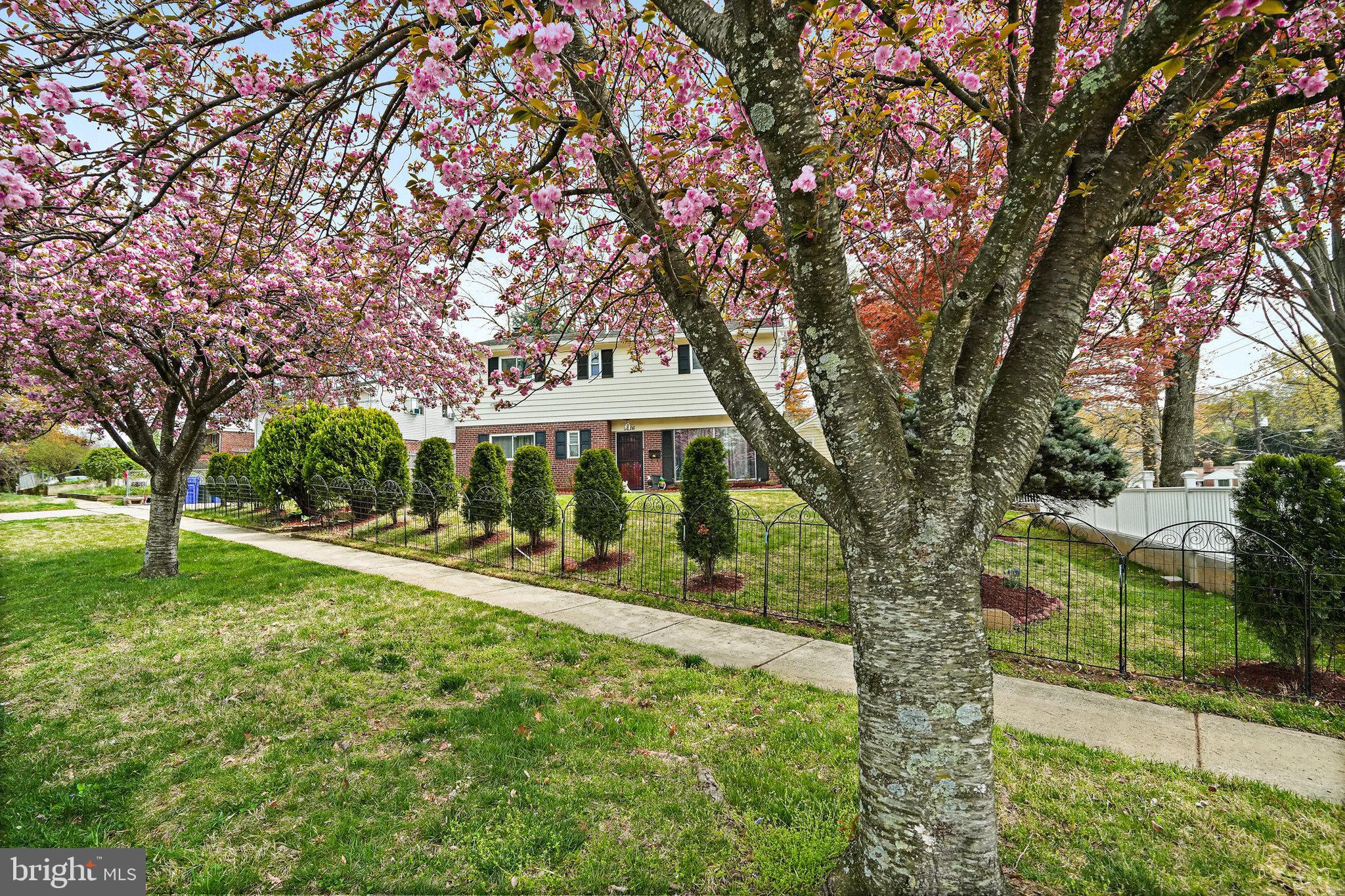 3816 Kayson Street Silver Spring, MD 20906 - Photo 5 of 44 a view of a house with a yard