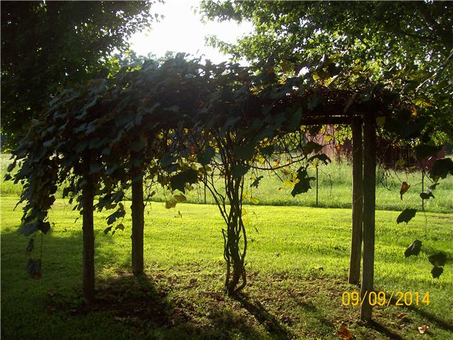 3520 Carthage Road Red Boiling Springs, TN 37150 - Photo 7 of 7 County living . Grape vines and great garden spot.