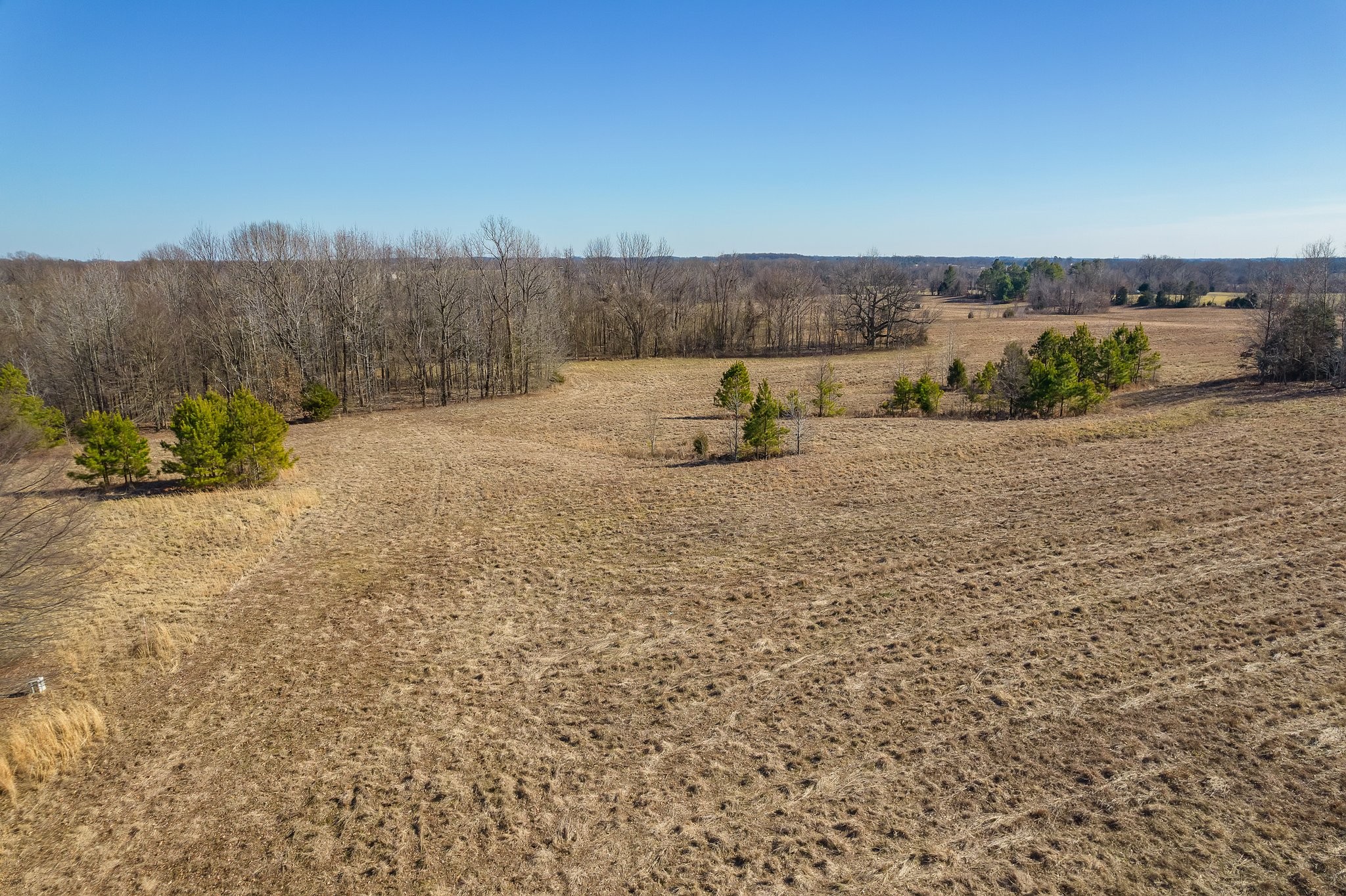 0 Pugh Road Friendship, TN 38034 - Photo 2 of 25 Gallery Image 2