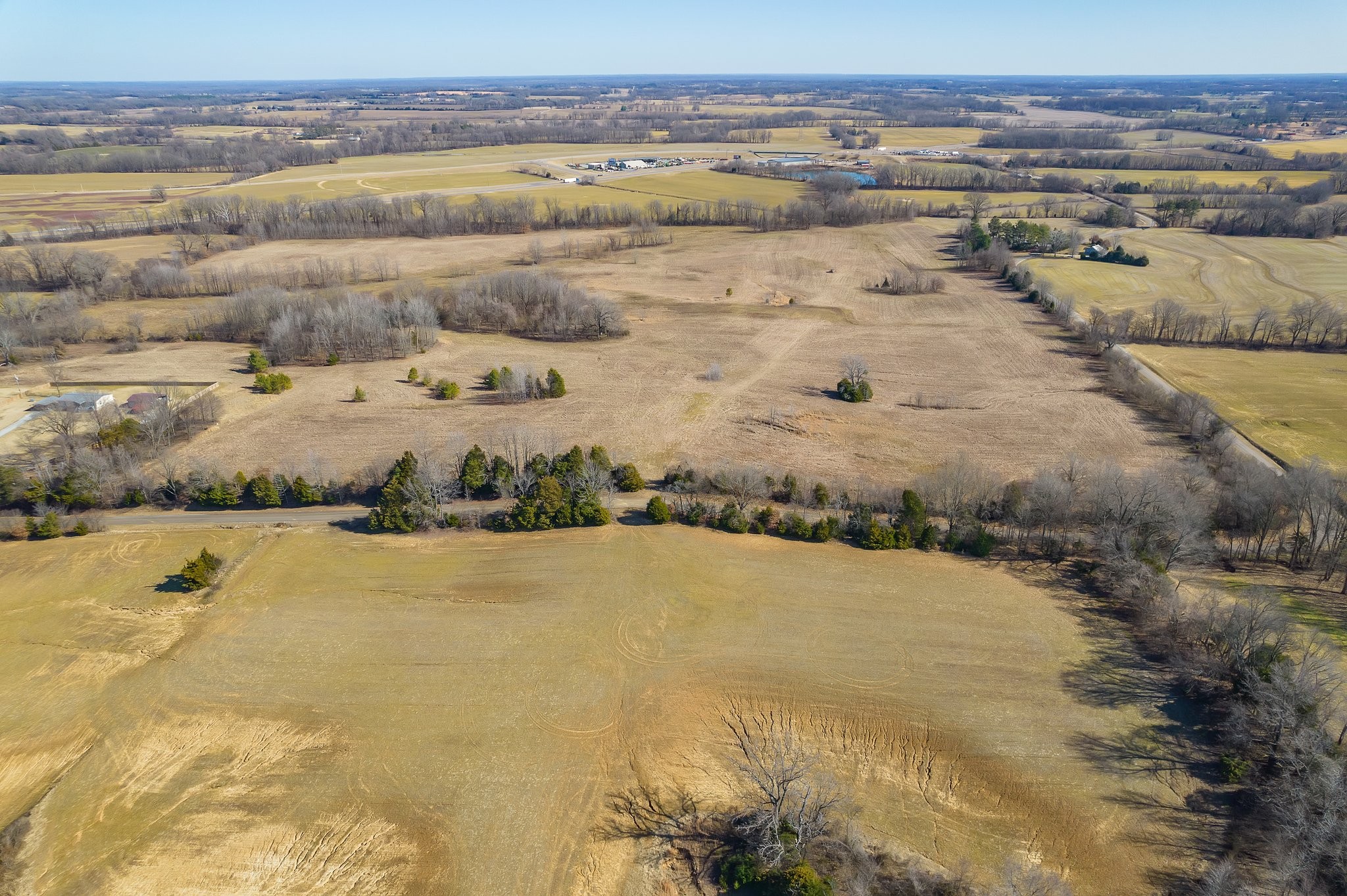 0 Pugh Road Friendship, TN 38034 - Photo 3 of 25 Gallery Image 3
