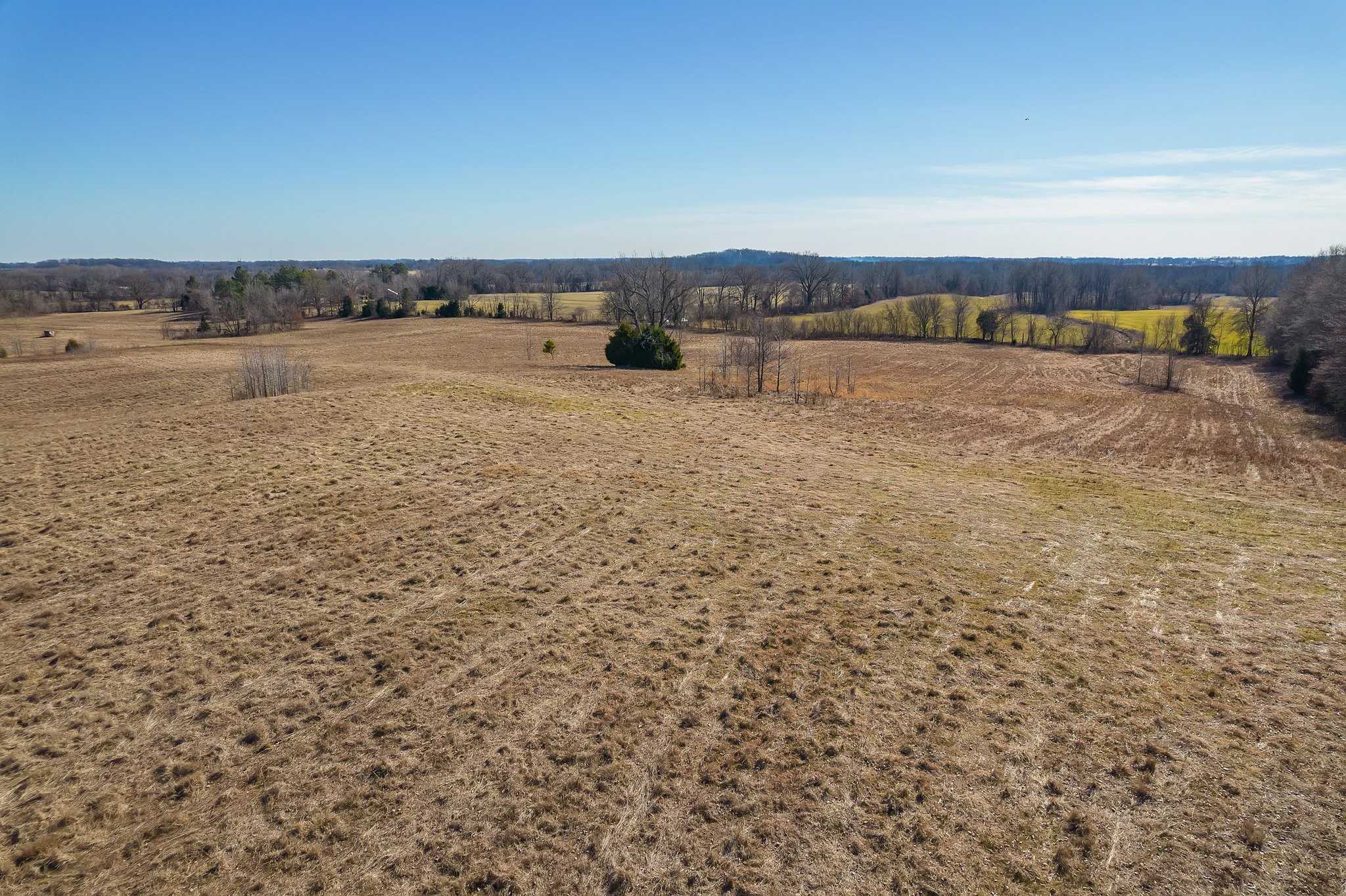 0 Pugh Road Friendship, TN 38034 - Photo 6 of 25 Gallery Image 6