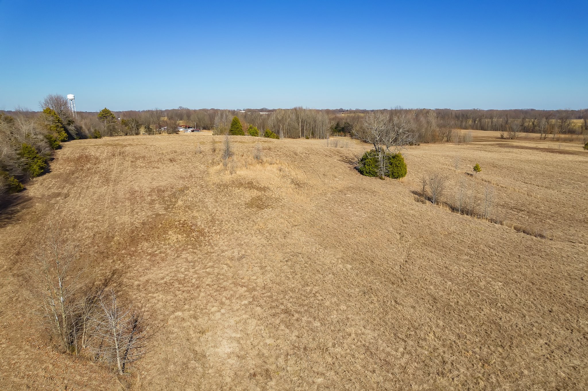 0 Pugh Road Friendship, TN 38034 - Photo 8 of 25 Gallery Image 8