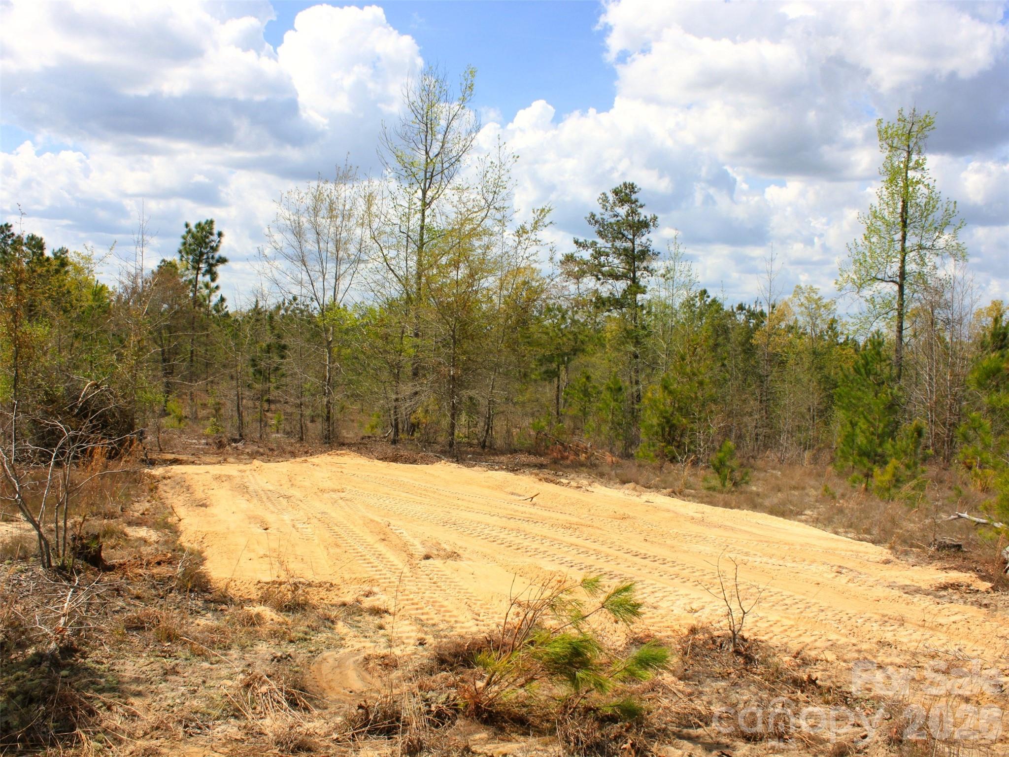 0 McQueen Road Patrick, SC 29584 - Photo 23 of 25