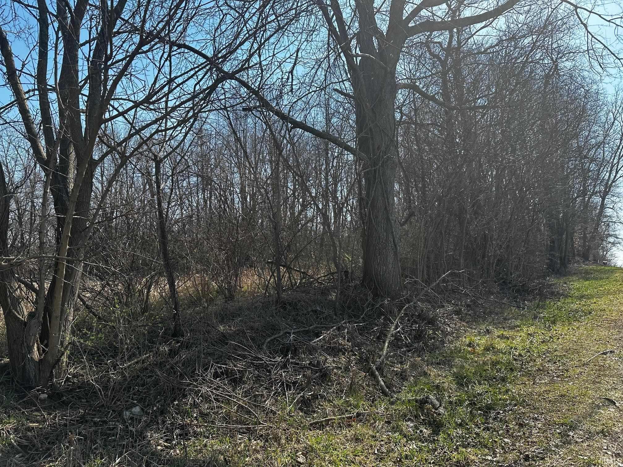 55694 County Line Road New Carlisle, IN 46552 - Photo 11 of 11 Gallery Image 11