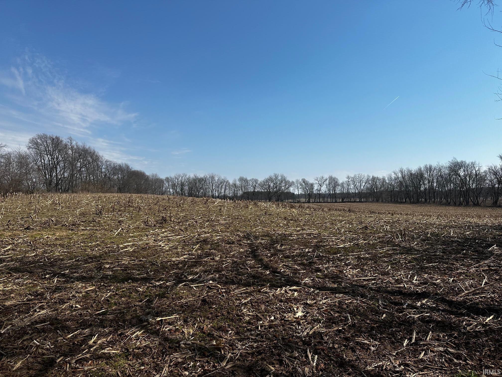 55694 County Line Road New Carlisle, IN 46552 - Photo 10 of 11 Gallery Image 10