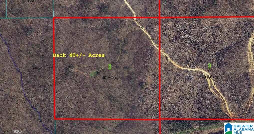 2468 Cherokee Road, Unit 40 ACRES Pell City, AL 35128 - Photo 4 of 6