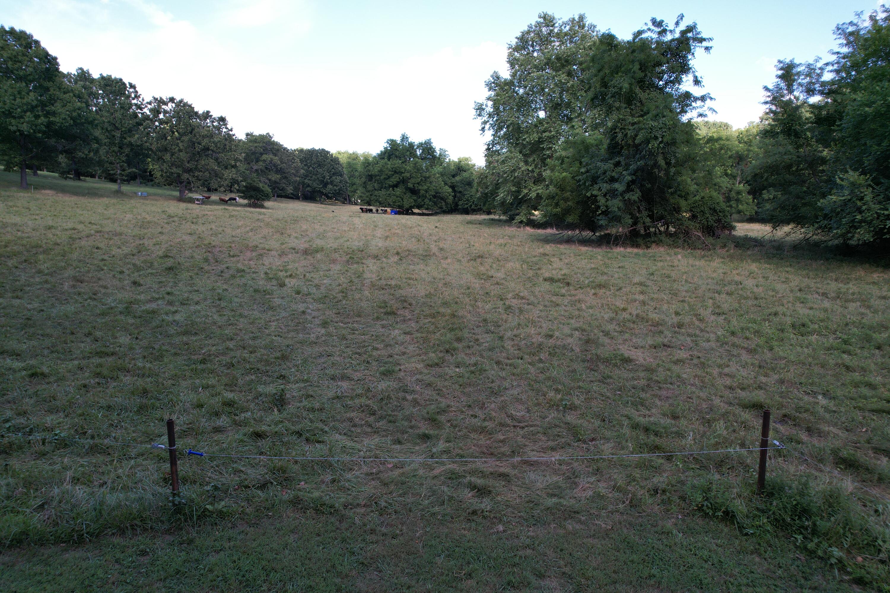 6731 Raccoon Road Pierce City, MO 65723 - Photo 41 of 99 DJI_0283