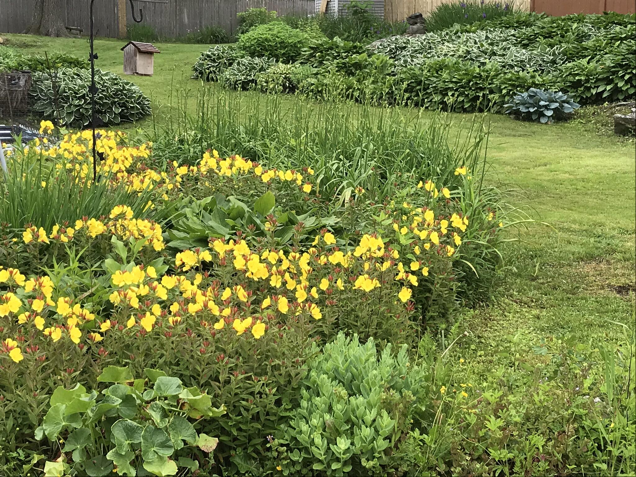 21 Drake Street Portland, ME 04103 - Photo 40 of 44 IMG_6441