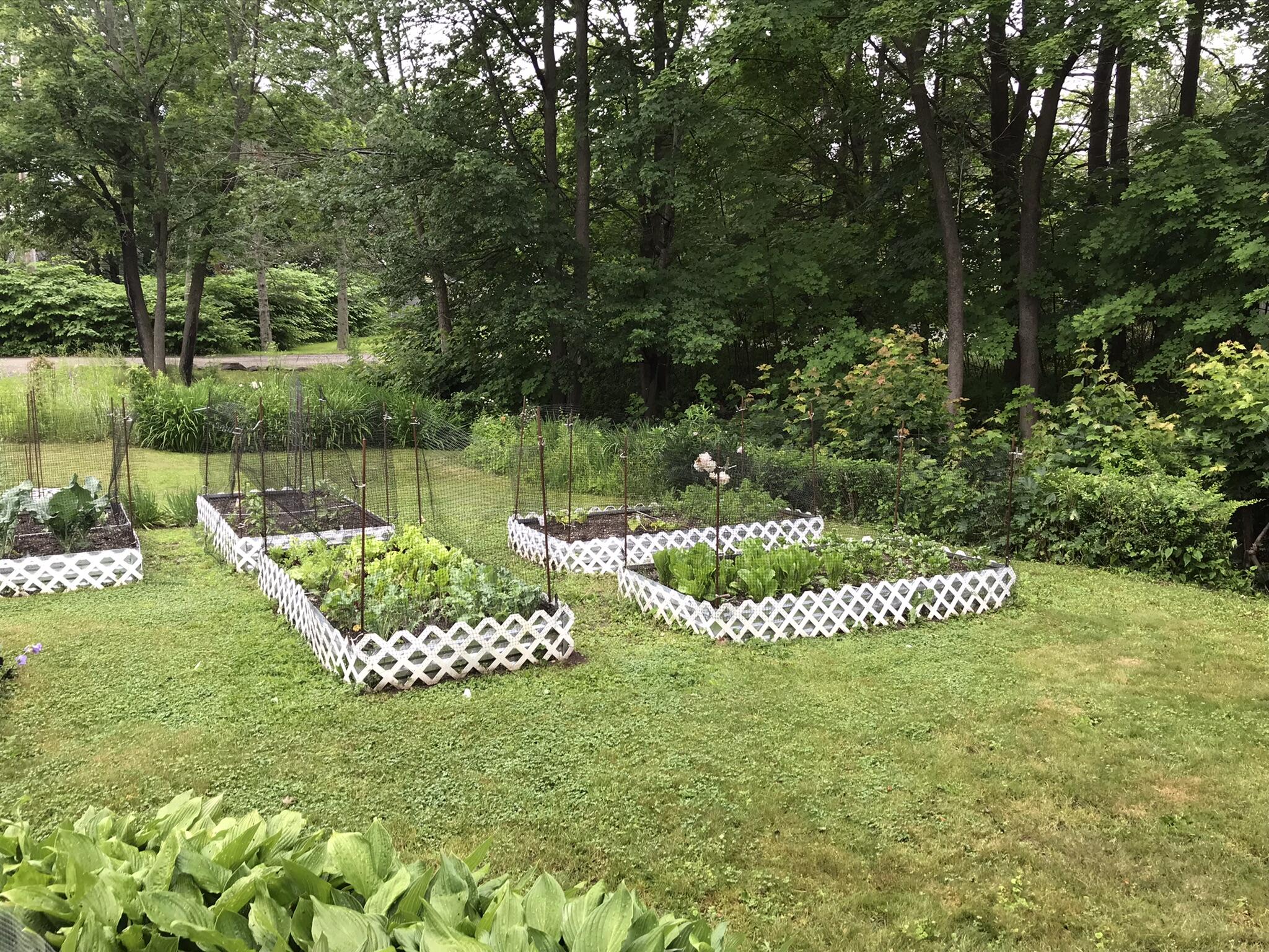 21 Drake Street Portland, ME 04103 - Photo 41 of 44 IMG_6446