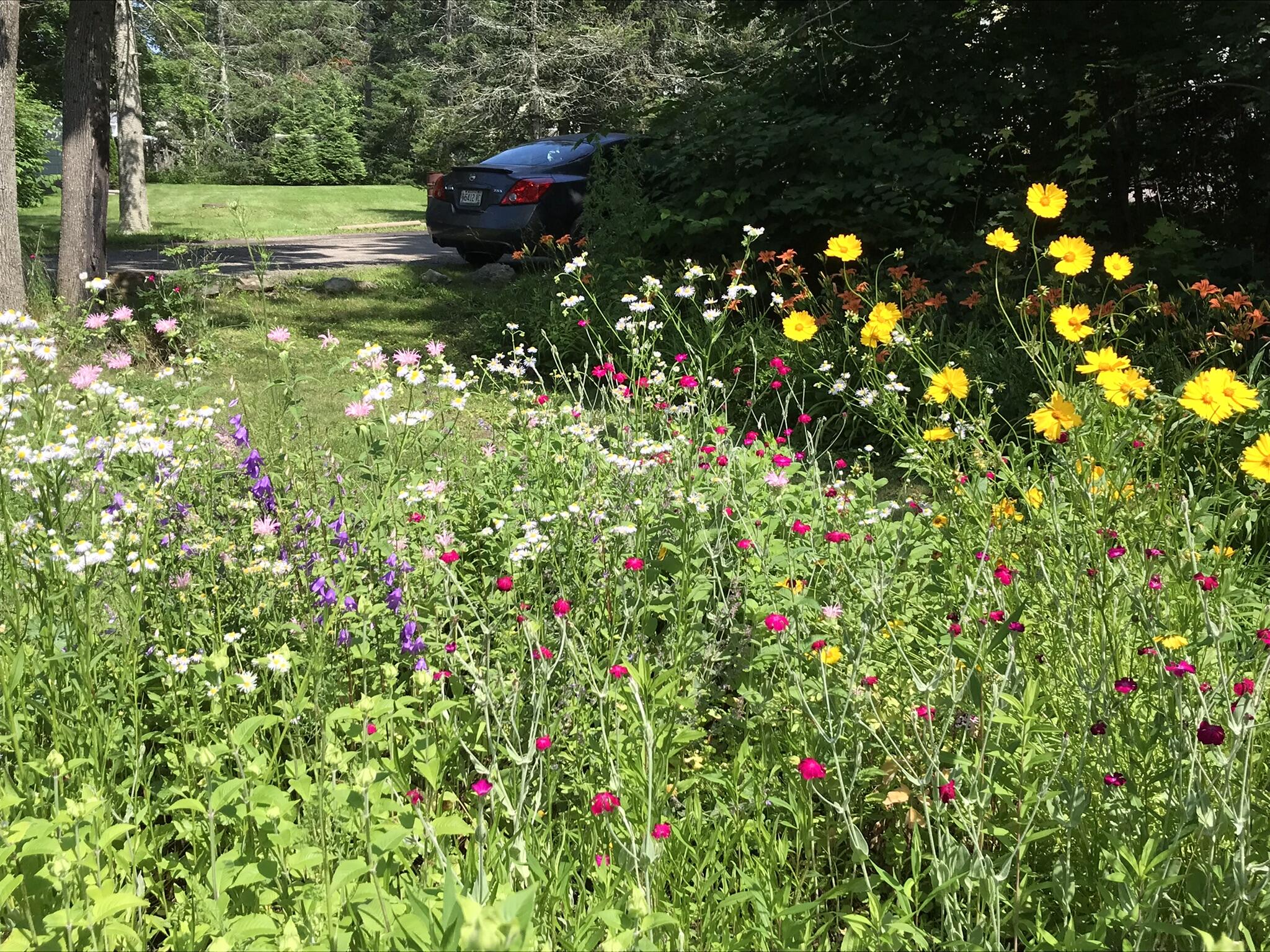 21 Drake Street Portland, ME 04103 - Photo 42 of 44 IMG_6510