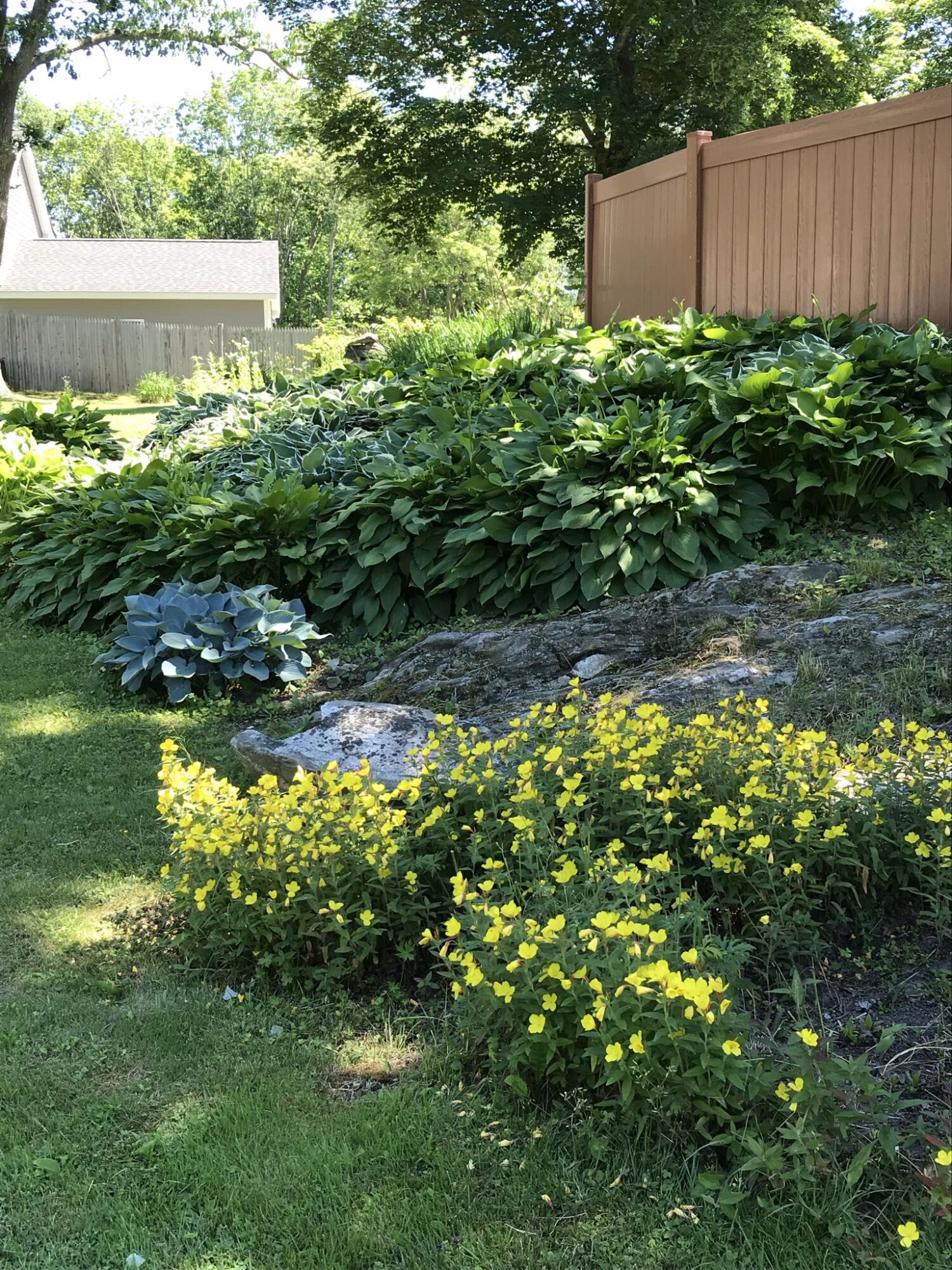 21 Drake Street Portland, ME 04103 - Photo 5 of 44 IMG_2334