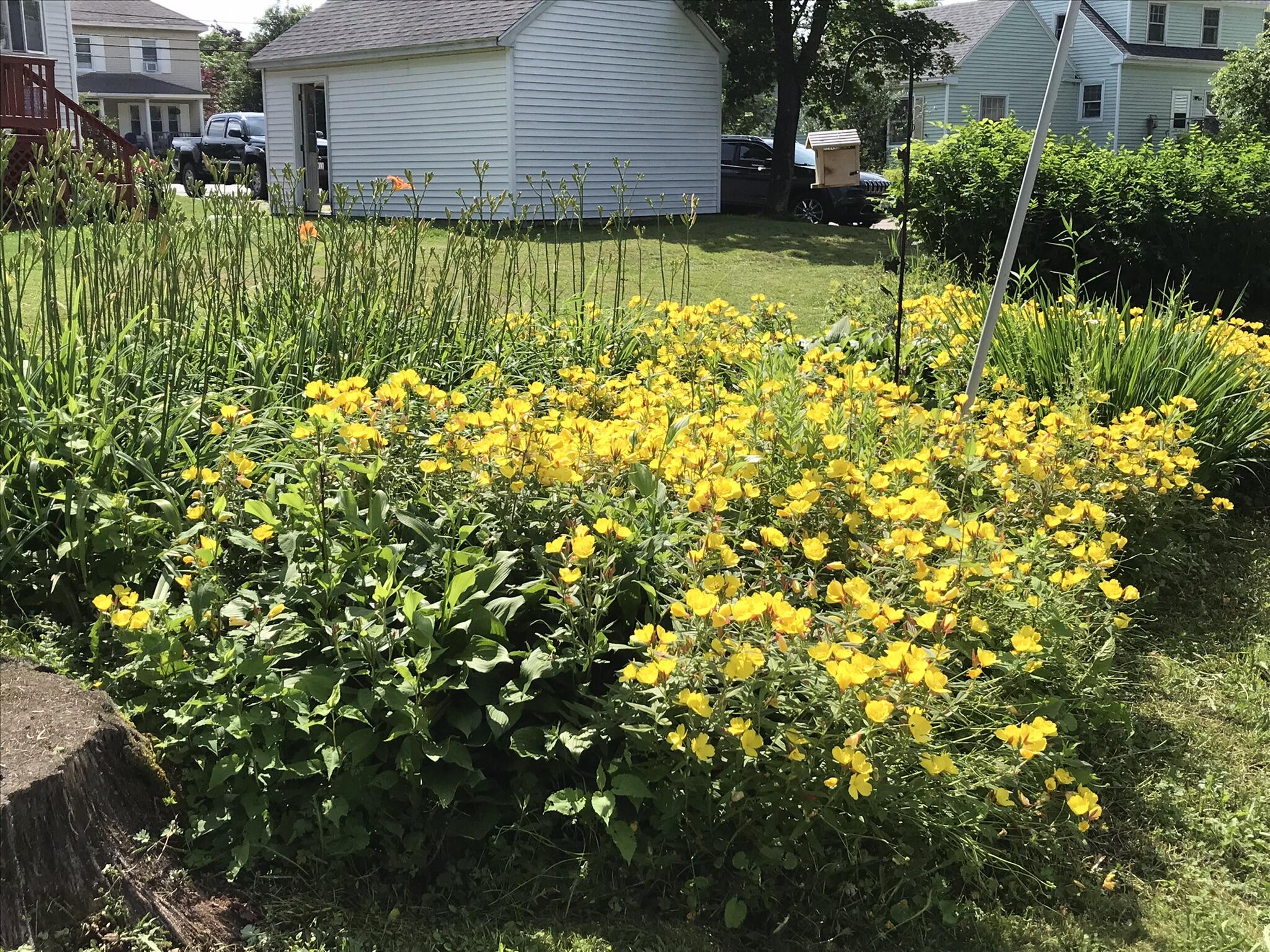 21 Drake Street Portland, ME 04103 - Photo 8 of 44 IMG_6471