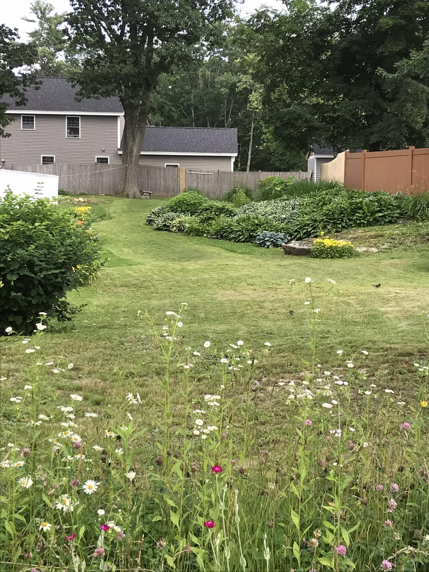 21 Drake Street Portland, ME 04103 - Photo 9 of 44 IMG_6497