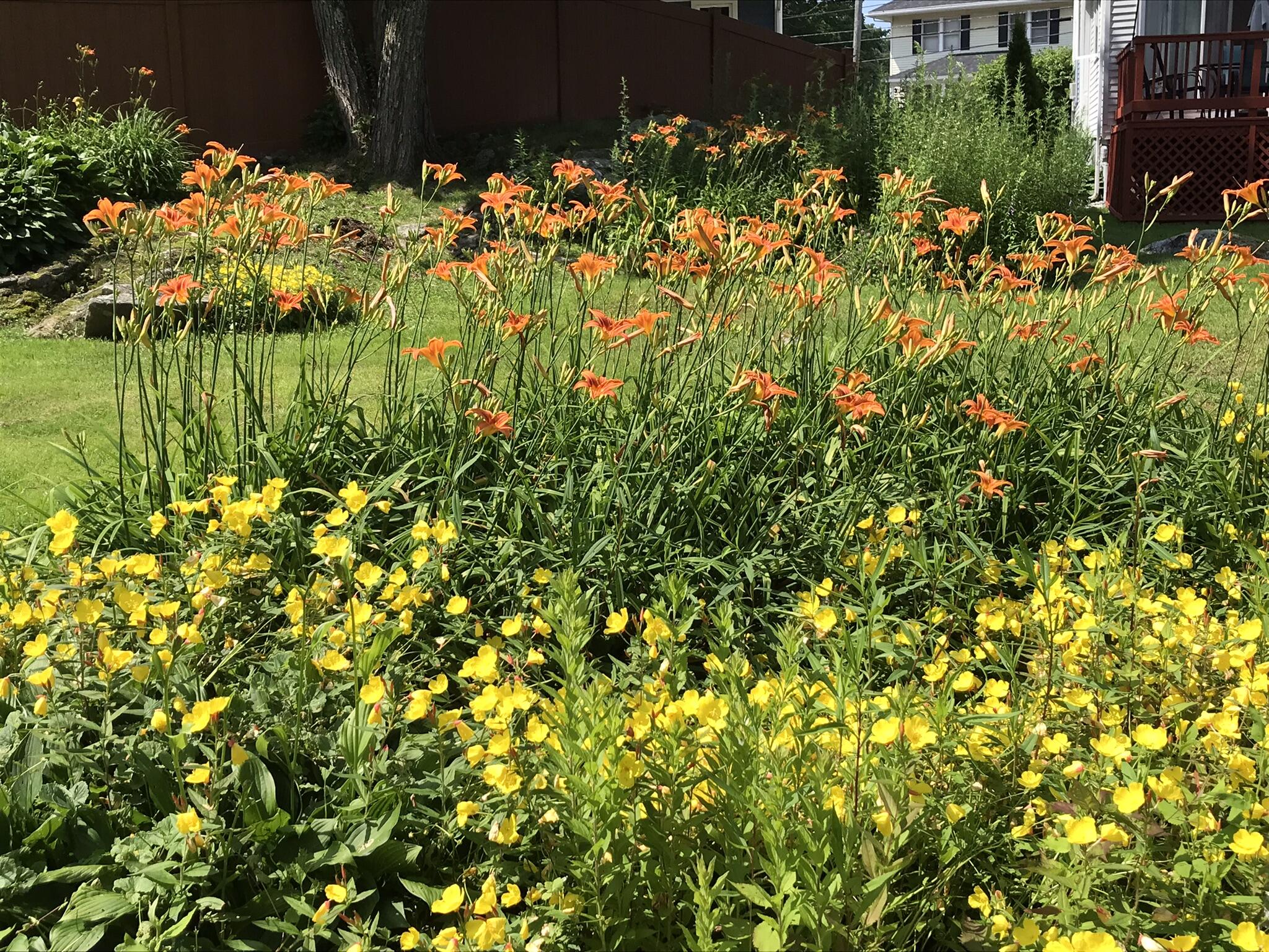 21 Drake Street Portland, ME 04103 - Photo 10 of 44 IMG_6511