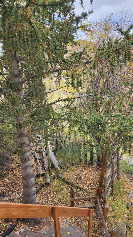 210 7th Street Victor, CO 80860 - Photo 18 of 24 a view of a yard with wooden fence