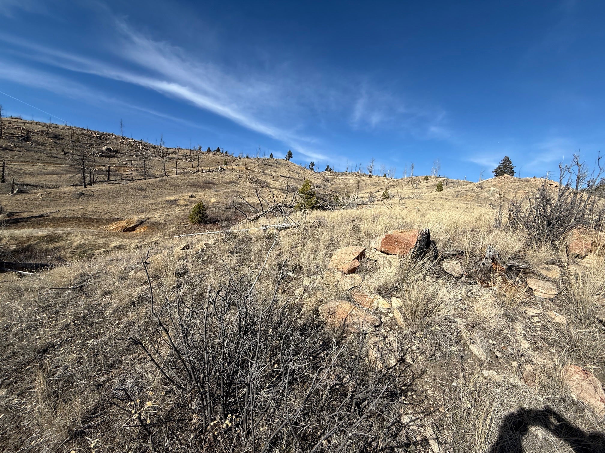 83 Nursery Creek Road Boulder, MT 59632 - Photo 40 of 62 Gallery Image 40