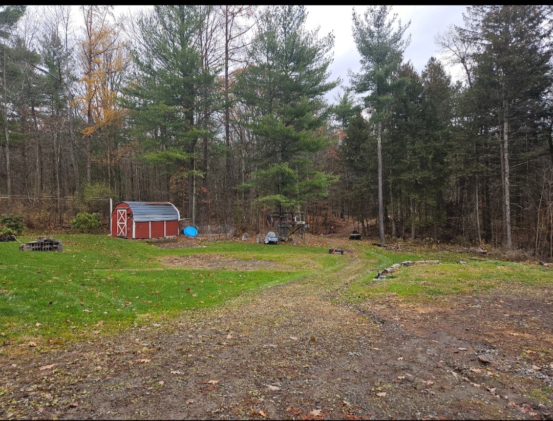 798 Gage Road Owego, NY 13827 - Photo 7 of 28