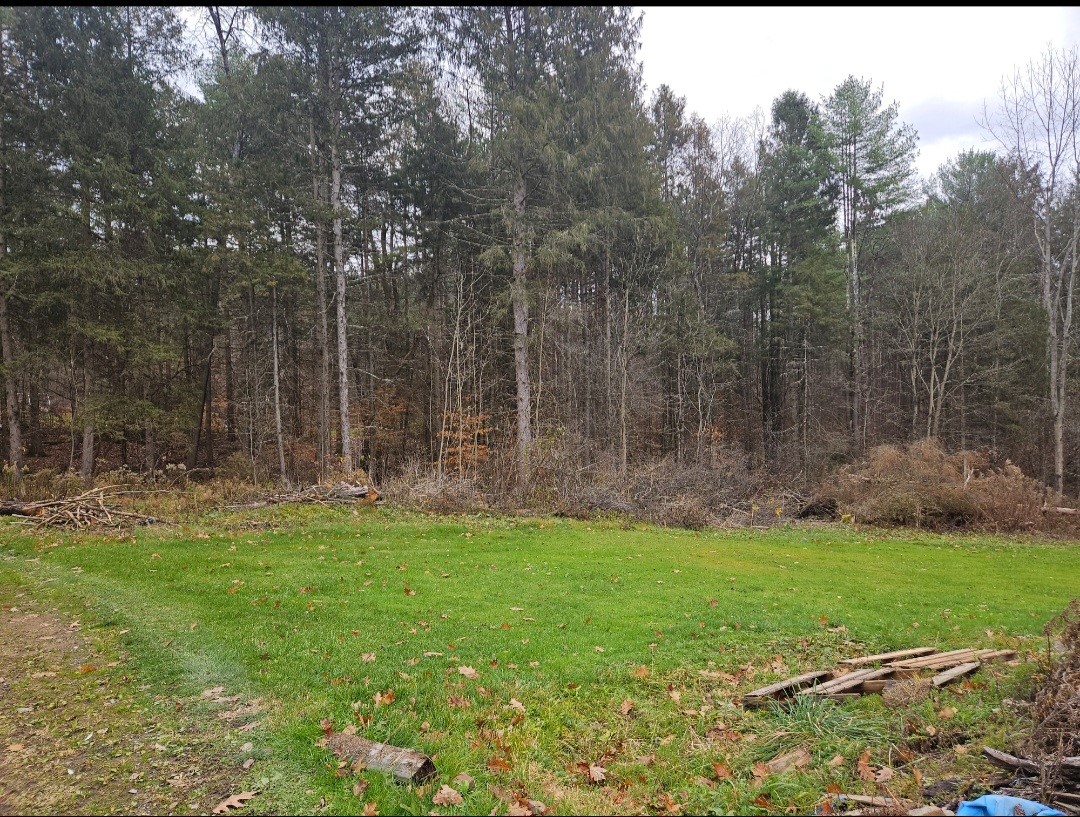 798 Gage Road Owego, NY 13827 - Photo 9 of 28