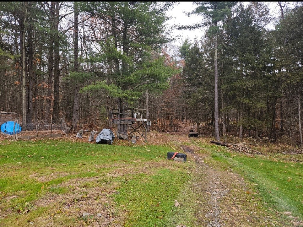 798 Gage Road Owego, NY 13827 - Photo 10 of 28