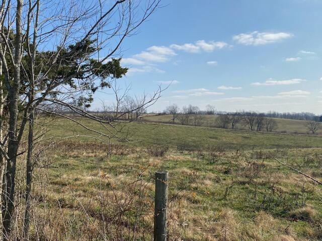 120271 Walnut Grove Road, Unit TRACT # 1 Carlisle, KY 40311 - Photo 28 of 39 28