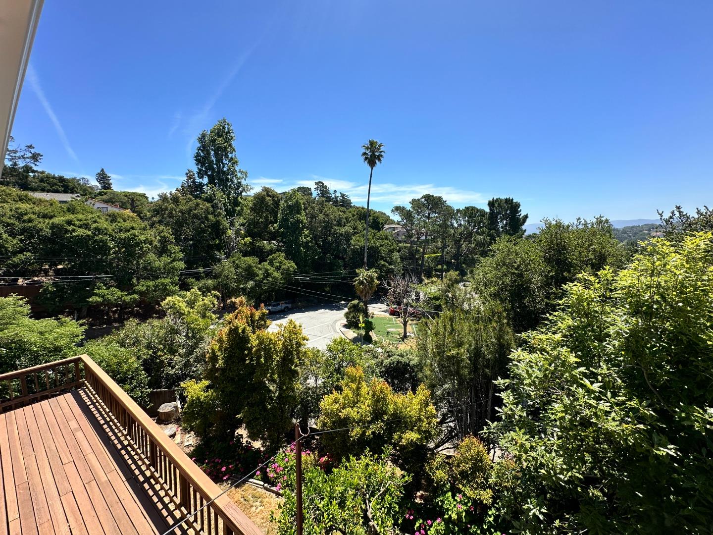 46 Arch Lane San Carlos, CA 94070 - Photo 2 of 22 a view of a yard with plants