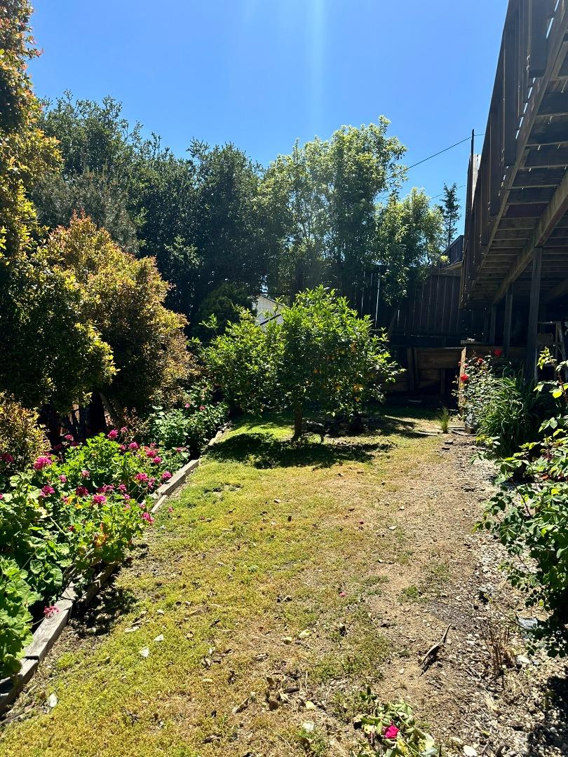 46 Arch Lane San Carlos, CA 94070 - Photo 21 of 22