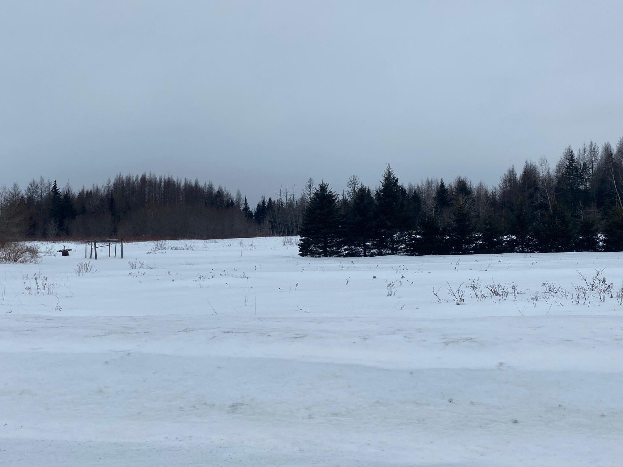 255 Egypt Road Presque Isle, ME 04769 - Photo 21 of 22 field2