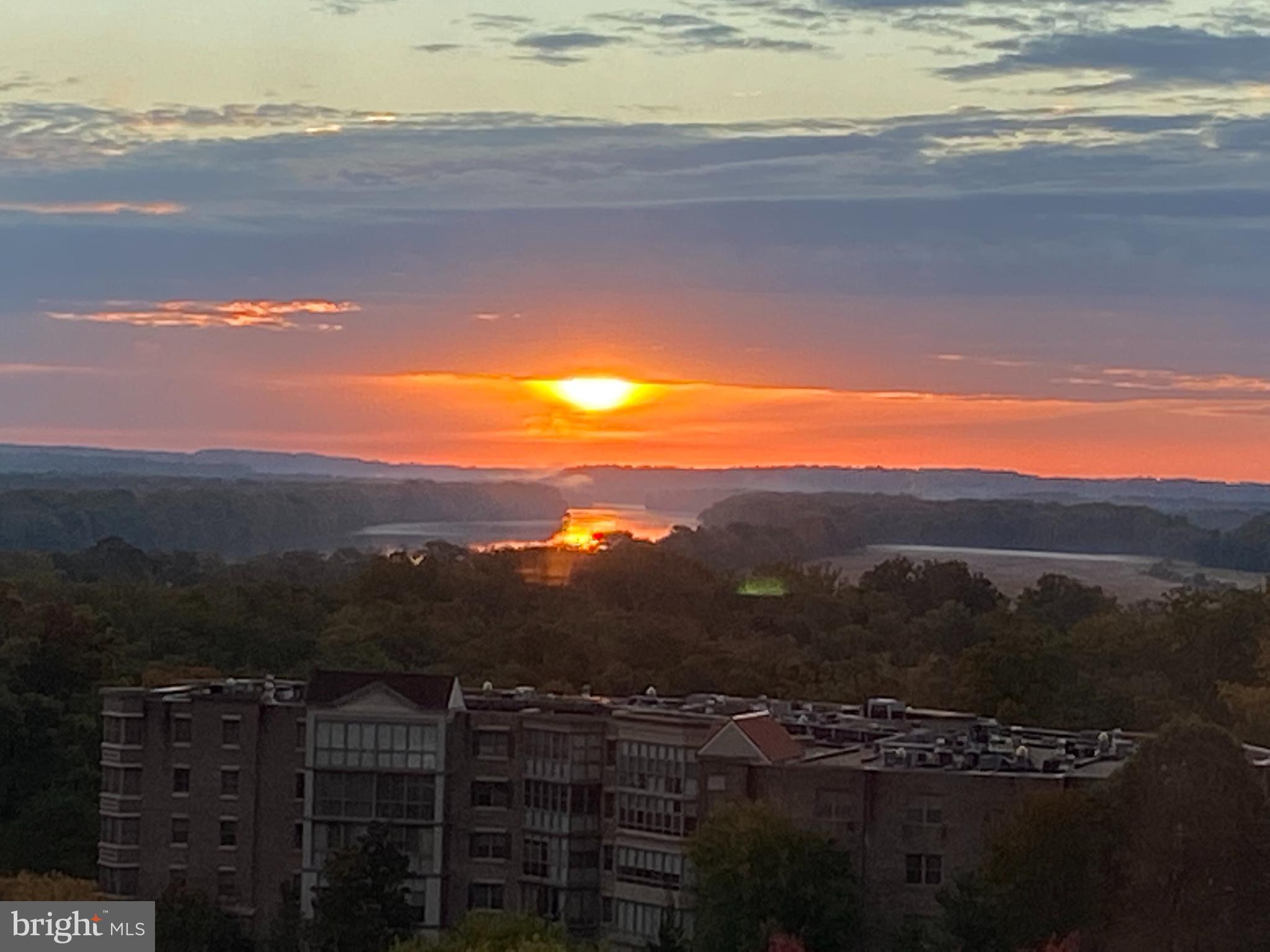 19365 Cypress Ridge Terrace, Unit 510 Leesburg, VA 20176 - Photo 7 of 38 Watch the morning sunrise!