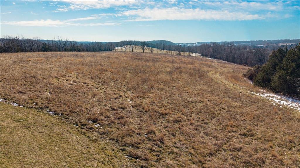 640 Brown Springs Road Marionville, MO 65705 - Photo 28 of 37