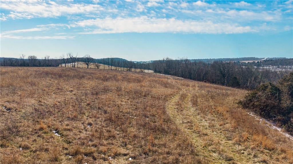 640 Brown Springs Road Marionville, MO 65705 - Photo 29 of 37