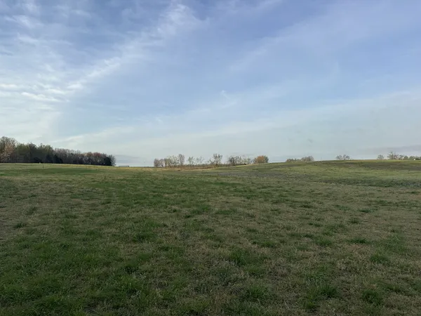 a view of a field with an ocean