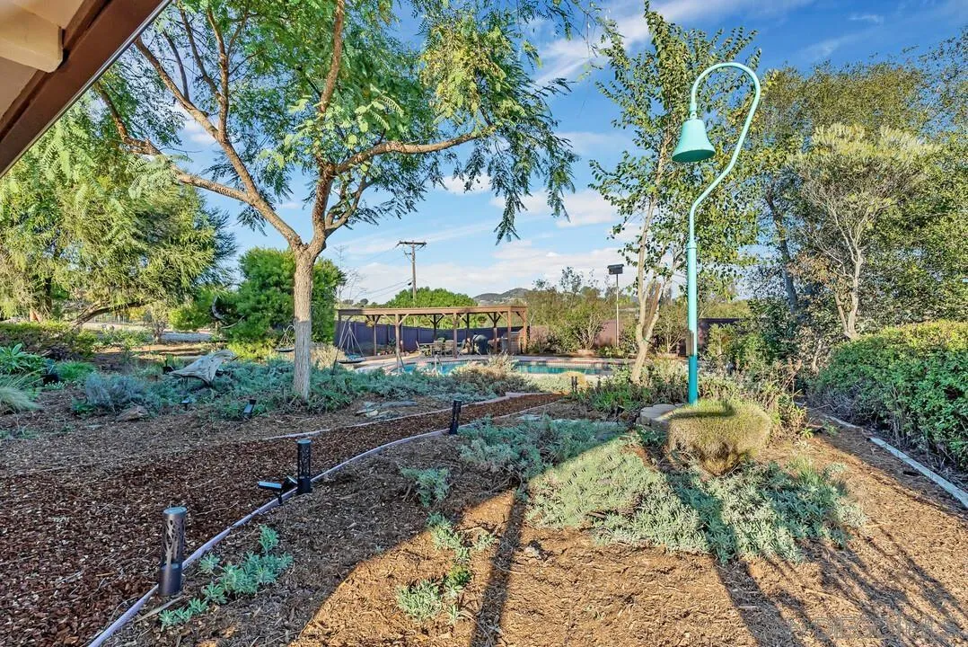290 North Old Hill Road Fallbrook, CA 92028 - Photo 36 of 47 a view of a yard with plants and a large tree