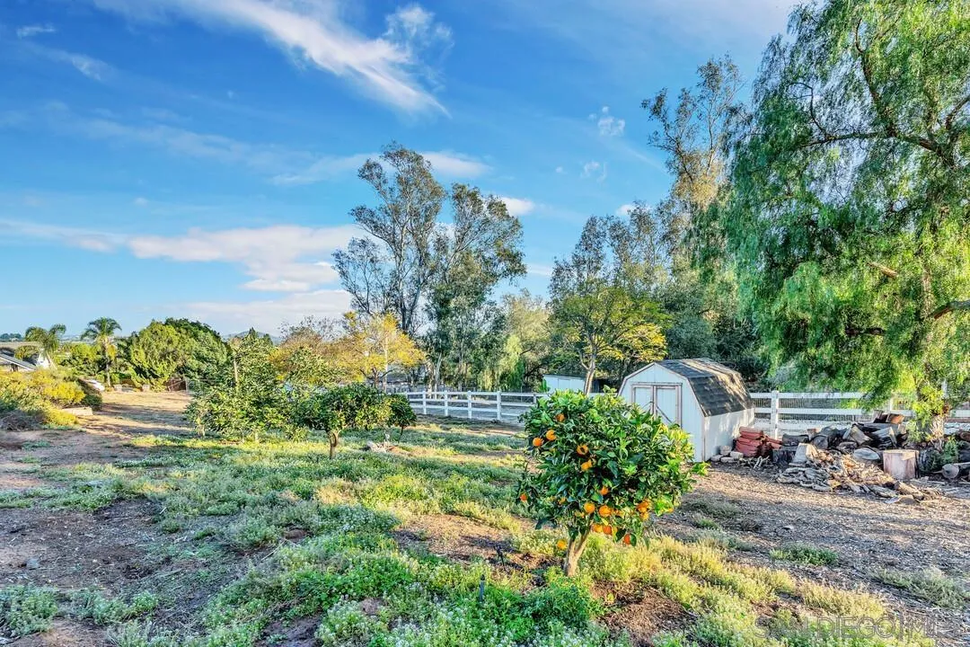 290 North Old Hill Road Fallbrook, CA 92028 - Photo 37 of 47 a view of a garden with plants and large trees