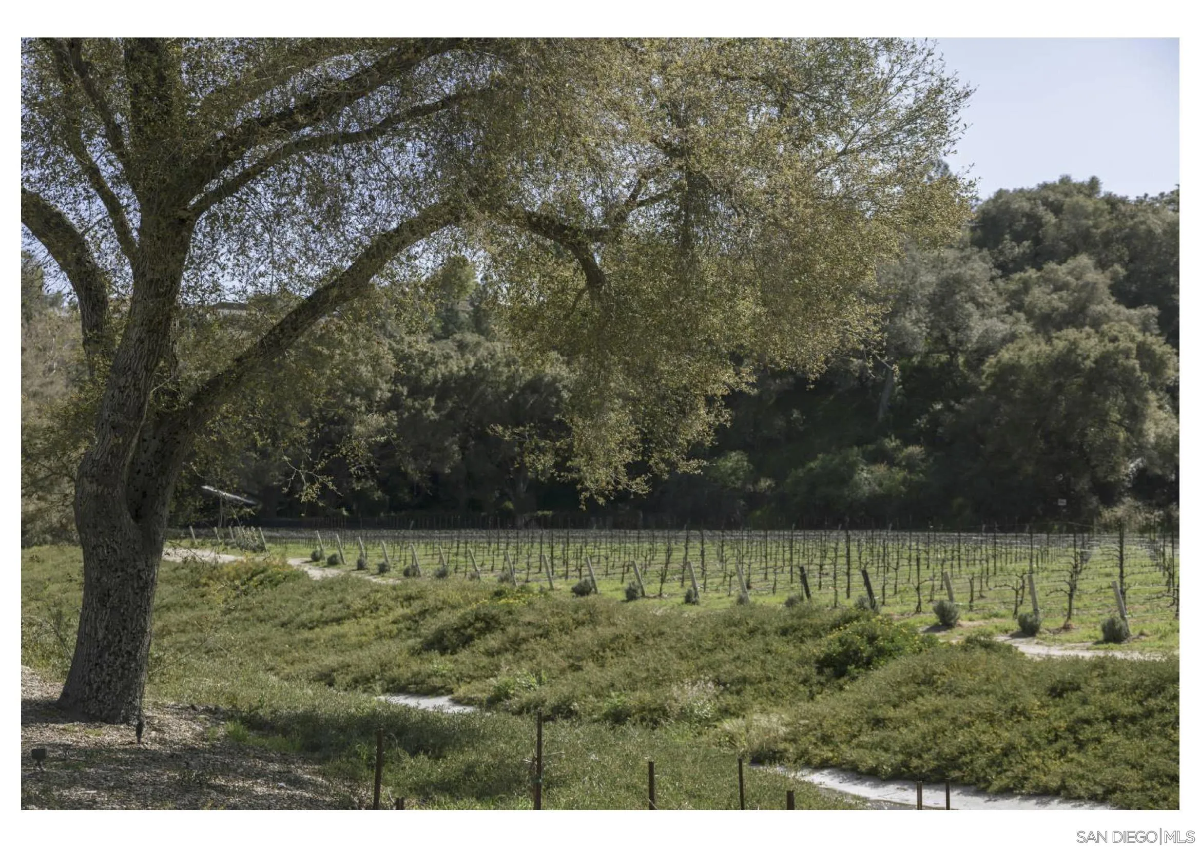 290 North Old Hill Road Fallbrook, CA 92028 - Photo 46 of 47 a view of a lake