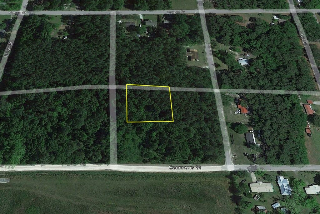 0 Cabinet Street Waycross, GA 31501 - Photo 5 of 11