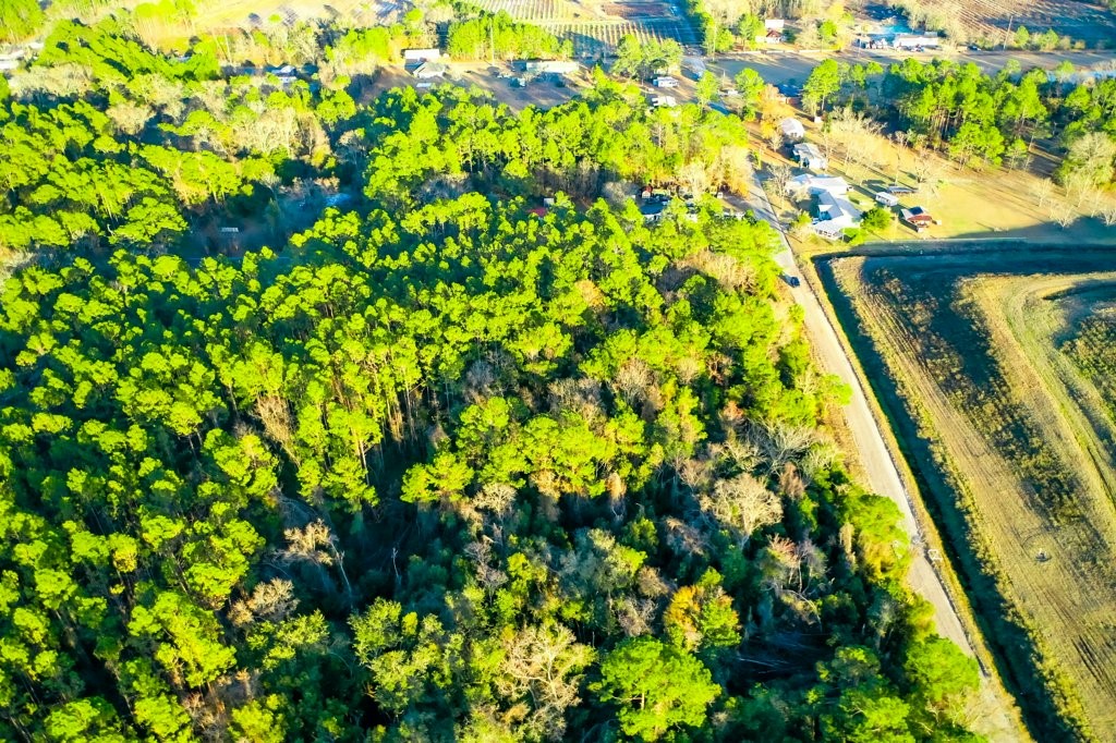0 Cabinet Street Waycross, GA 31501 - Photo 6 of 11