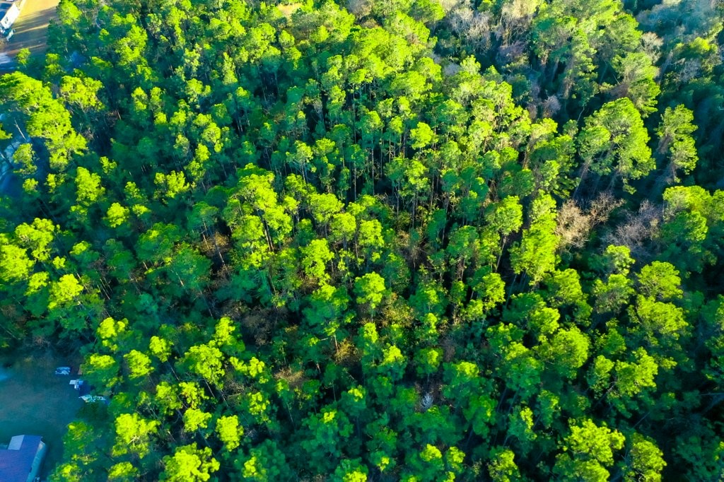 0 Cabinet Street Waycross, GA 31501 - Photo 10 of 11