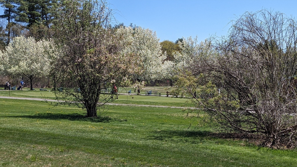 53 Baldwin Road, Unit 201 Billerica, MA 01821 - Photo 33 of 35 a view of a house in a big yard with large trees