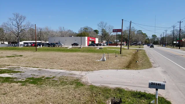 a view of a park with large trees