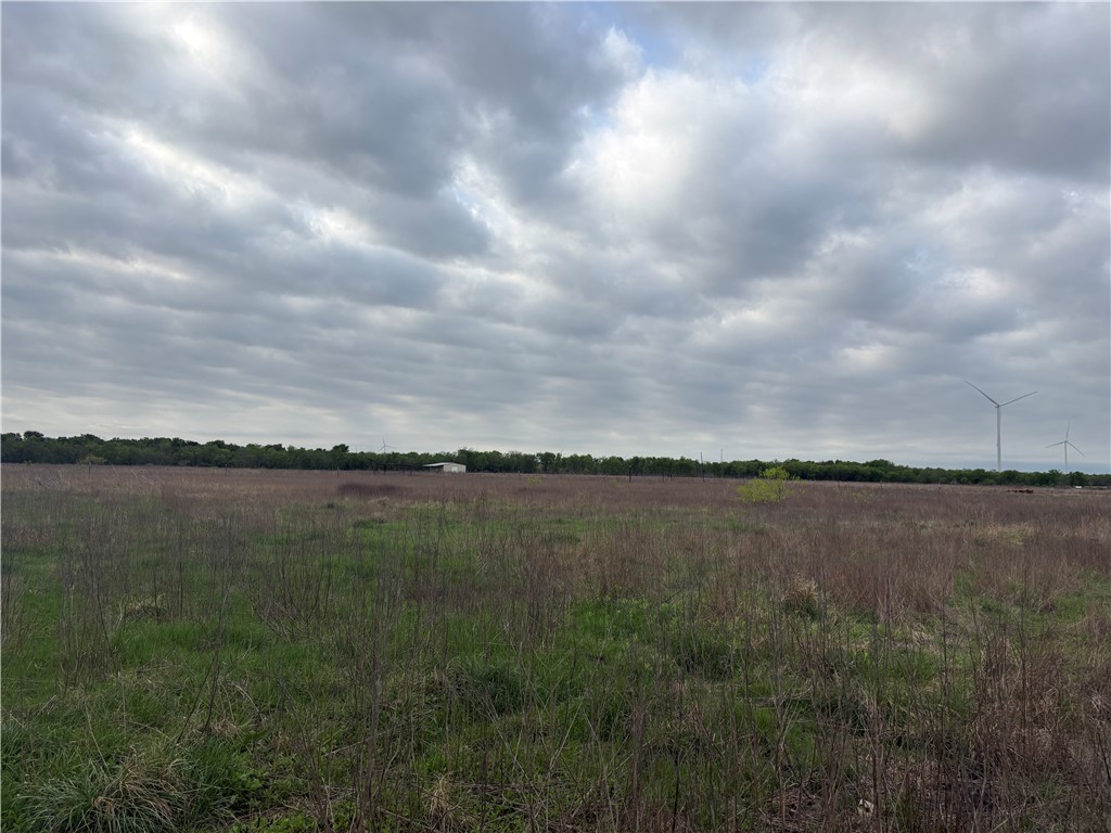 182 Hcr 3268 Rd Mount Mount Calm, TX 76673 - Photo 6 of 9