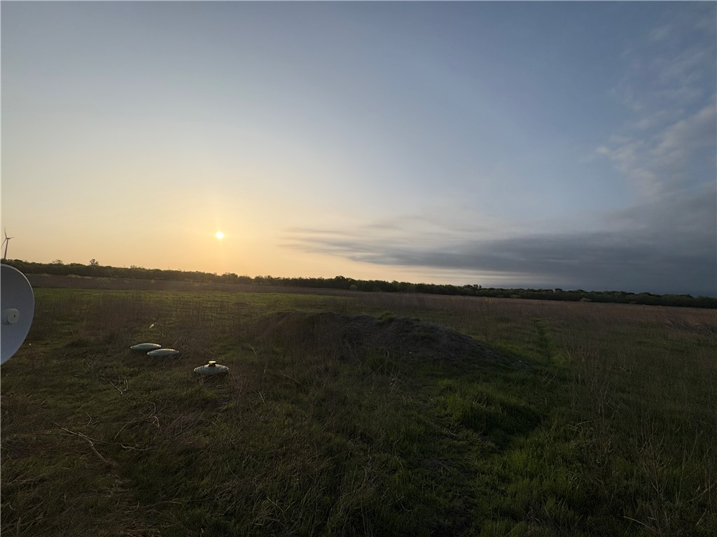 182 Hcr 3268 Rd Mount Mount Calm, TX 76673 - Photo 7 of 9