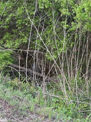 $400,000 | 182 Hcr 3268 Rd Mount, Mount Calm, TX 76673