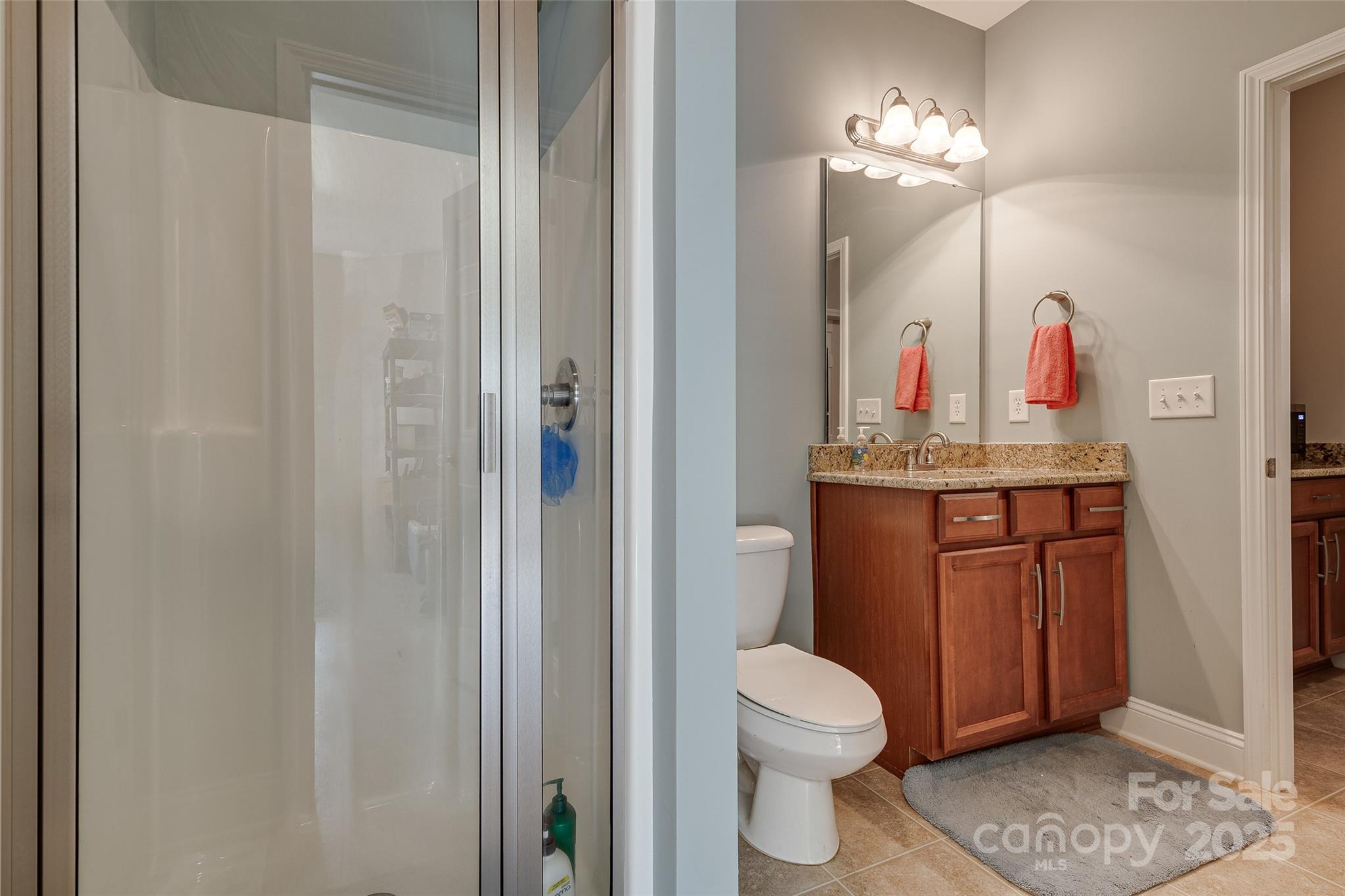 1266 Lange Court Fort Mill, SC 29715 - Photo 35 of 45 a bathroom with a toilet a sink and a mirror