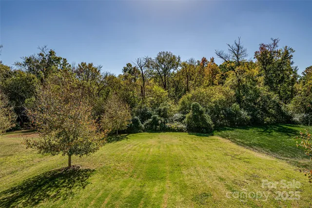 a view of a yard with an outdoor space