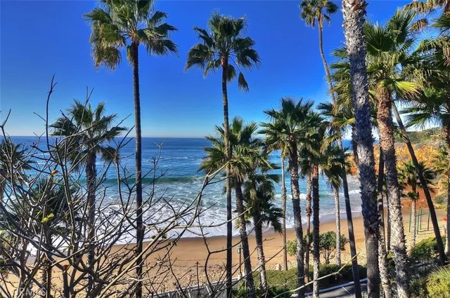 a palm tree sitting in a yard next to a palm tree