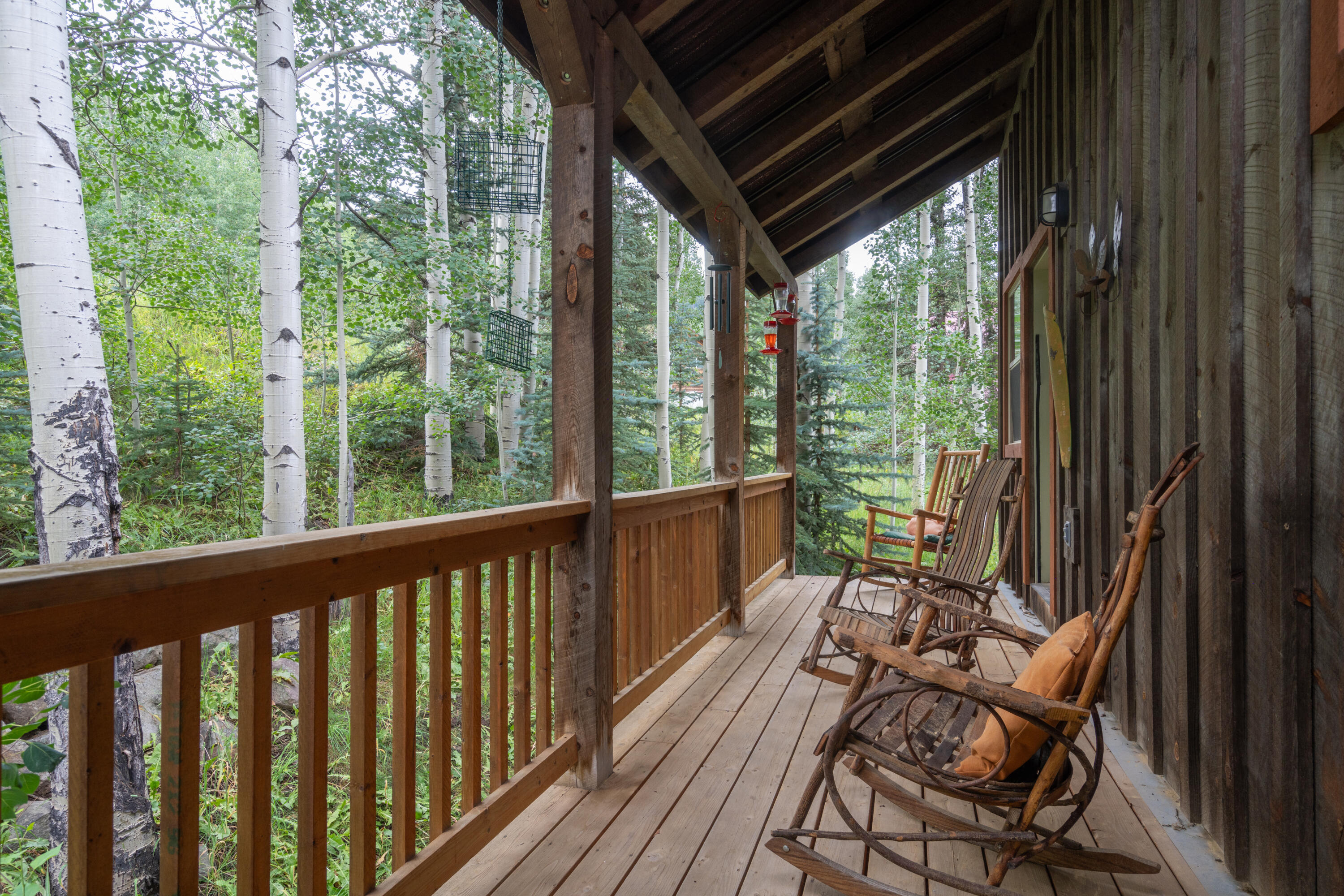 456 Silverglance Way Rico, CO 81332 - Photo 14 of 15 East patio 2